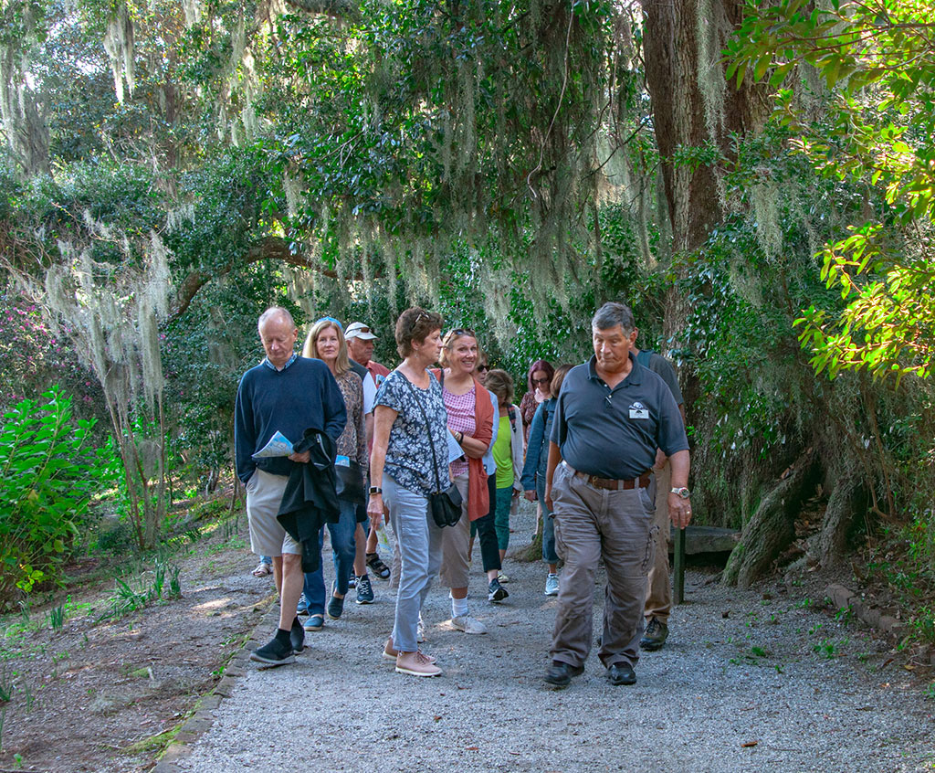 group of people walking on a path